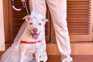 Alex & Thaís - 10