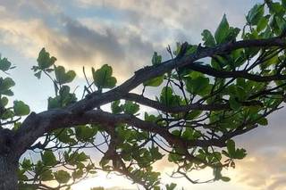 Bistrô de Ideias Decor - 5