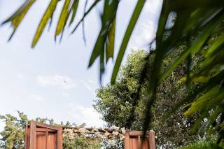 Flávia Daflon Cerimonialista - 17