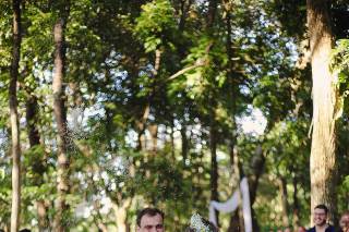 Império da Mata - 33