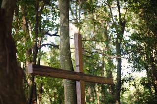 Império da Mata - 34