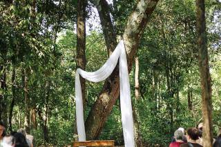 Império da Mata - 35