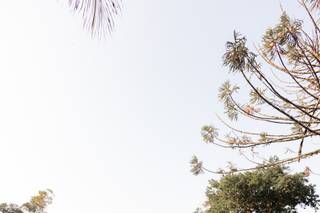 Bosque da Posse - 5