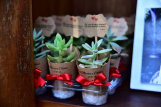 Mimo Verde Party Favors - 9