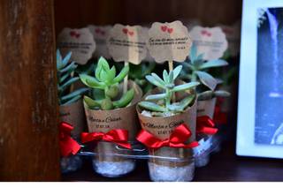 Mimo Verde Party Favors - 10