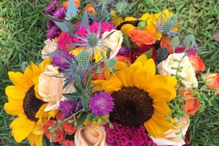 Chácara Laços Eternos - 13