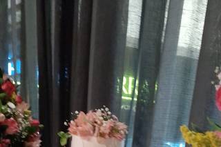 Rosiane Gasparin Eventos - 9