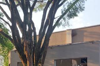 Tereza Lopes Eventos - 13