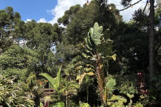 Querência - 6