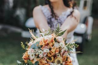 Carol Guasti Photography - 6