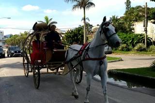 Carruagens Boulevard - 6