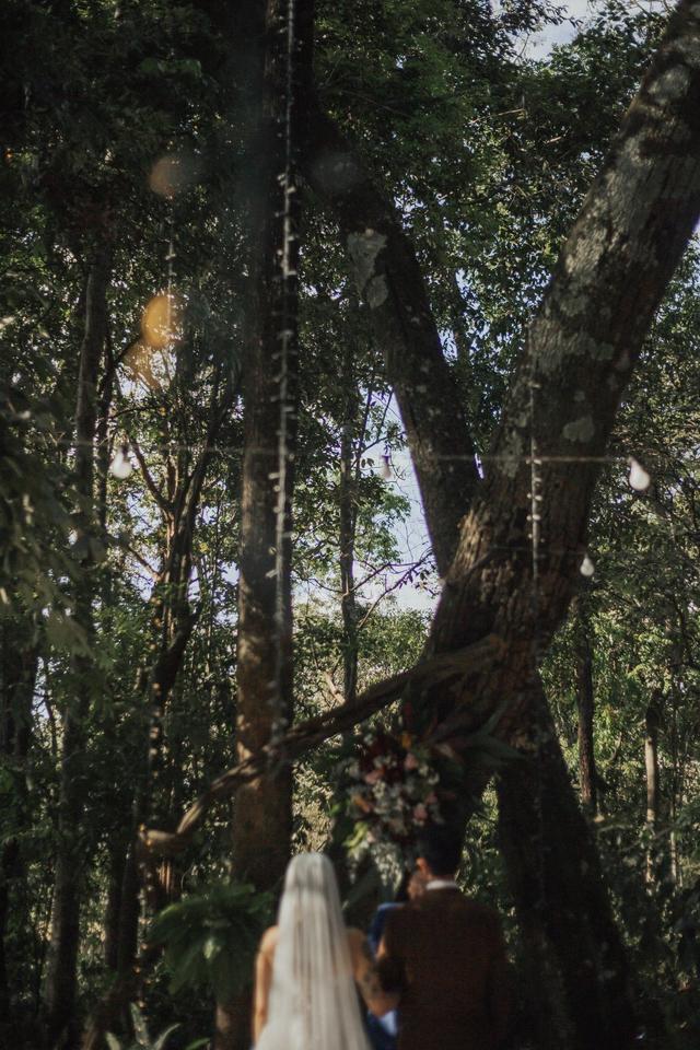 Império da Mata - 2