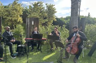 Orquestra Elegance Musical - 15