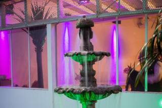 Dudu Art Show Eventos - 9