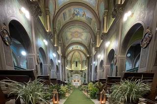 Orquídea Formosa - 6