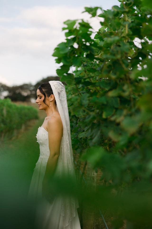 Vinicola Trindade - 2