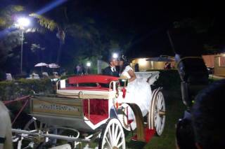 Requinte Carros e Carruagens - 8