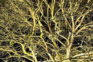 Moove Som e Iluminação - 5