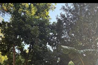 Marcos Lopes - Celebrante - 7