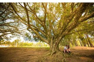 Rodrigo Birai Photographer - 11