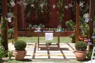 Luciana S. Zanon - Celebrante - 9