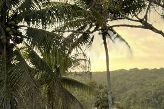 Quinta da Aldeia - 12