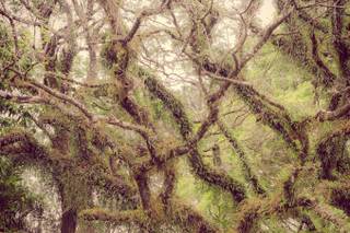 Chácara Morada do Senhor - 8