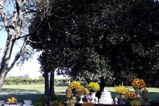 Fazenda Marambaia - 27