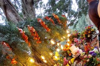 Cris Rocha Eventos - 26