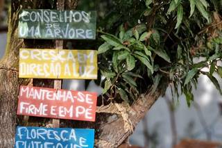 Dois Irmãos - 5