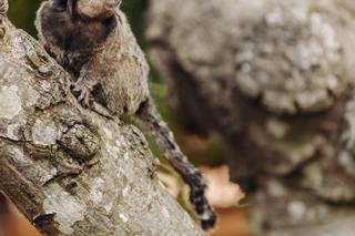 Espaço Florativa - 26