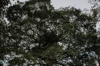 Espaço Verde Onoyama - 19
