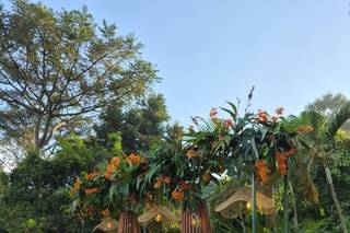 Recanto Silvestre - 7