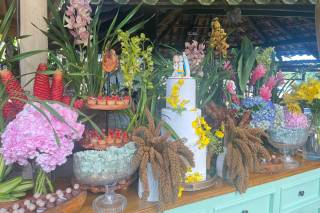 Tropicana - 11
