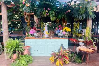 Tropicana - 12