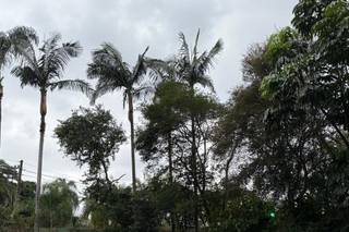Casa Tarumã - 11
