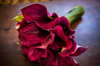 Flor de Laranjeira - Flores e Decorações - 14
