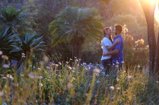 Palhares Foto e Filme - 7