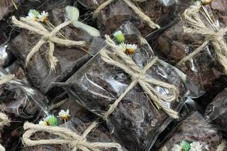 Vitoria Brownies - 2
