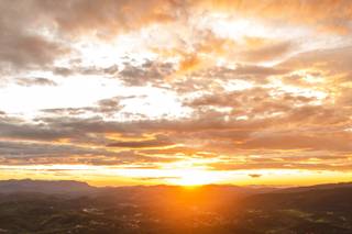Dani Bertusso Photography - 6