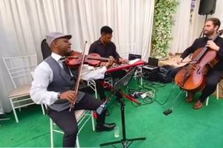 Single Day Band - 5