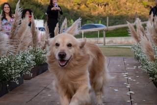 Laser Foto e Vídeo - 5