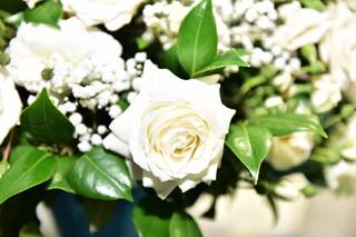 New Flowers Designers - 5