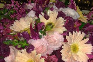 Floricultura Mont Alverne - 28