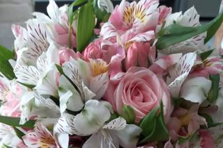 Rosa Rara Flores - 5