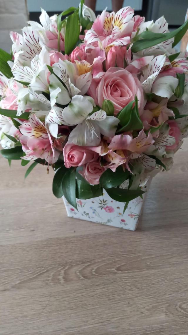 Rosa Rara Flores - 2