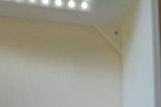 Suculentas.ecc - 9