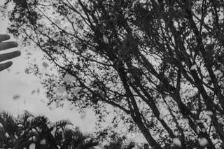 Recanto das Flores - 9