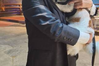 Thaís Pet - Pet Sitter - 7