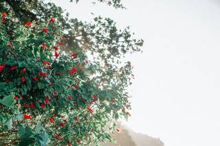 Paulo Borges Fotografia - 9